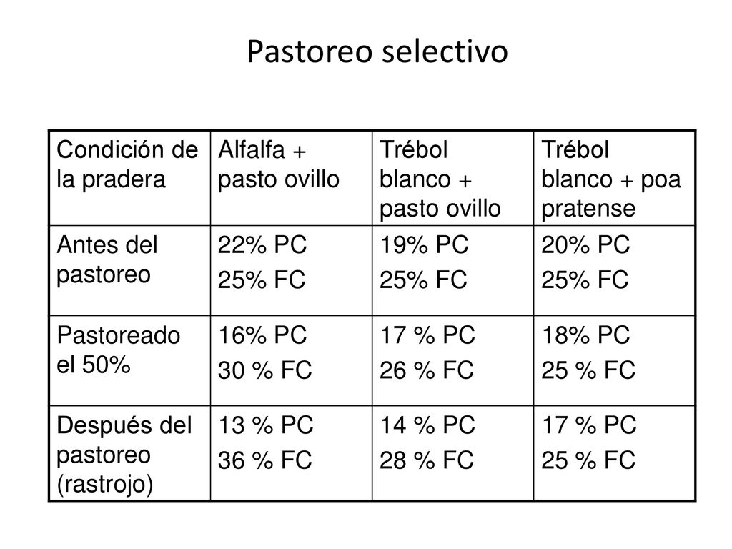 Pastoreo selectivo Condición de la pradera Alfalfa + pasto ovillo
