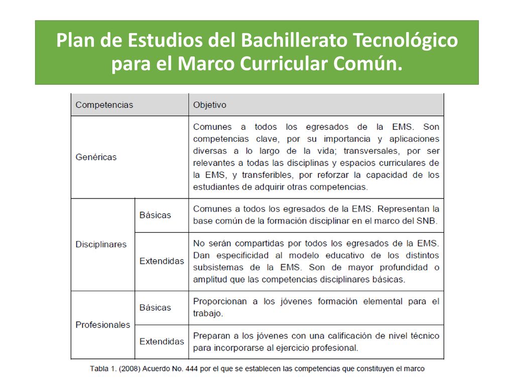 Plan de Estudios del Bachillerato Tecnológico para el Marco Curricular Común.