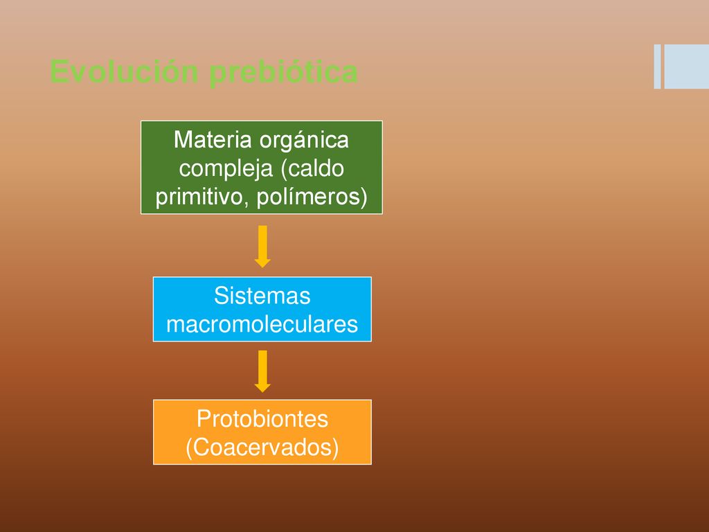 Evolución prebiótica Materia orgánica compleja (caldo primitivo, polímeros) Sistemas macromoleculares.