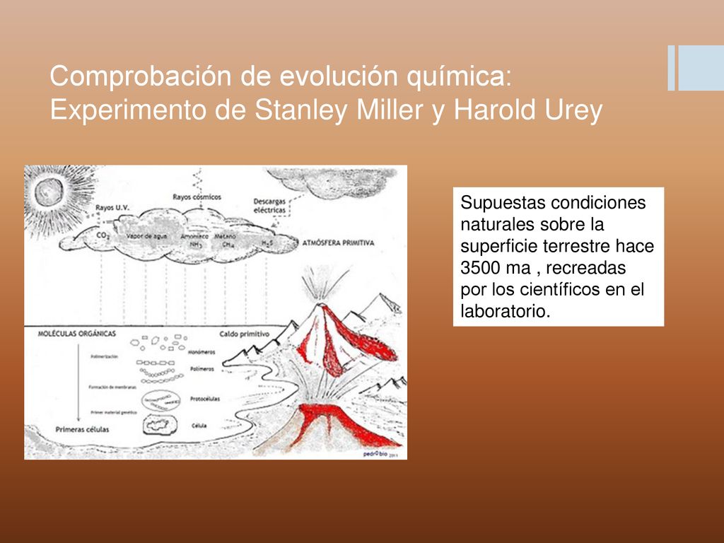 Comprobación de evolución química: Experimento de Stanley Miller y Harold Urey