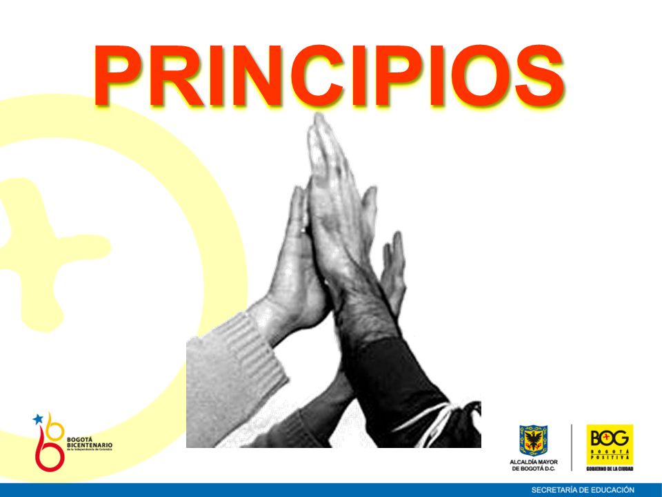 PRINCIPIOS