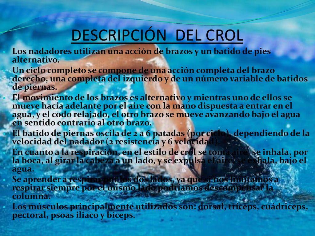 DESCRIPCIÓN DEL CROL Los nadadores utilizan una acción de brazos y un batido de pies alternativo.