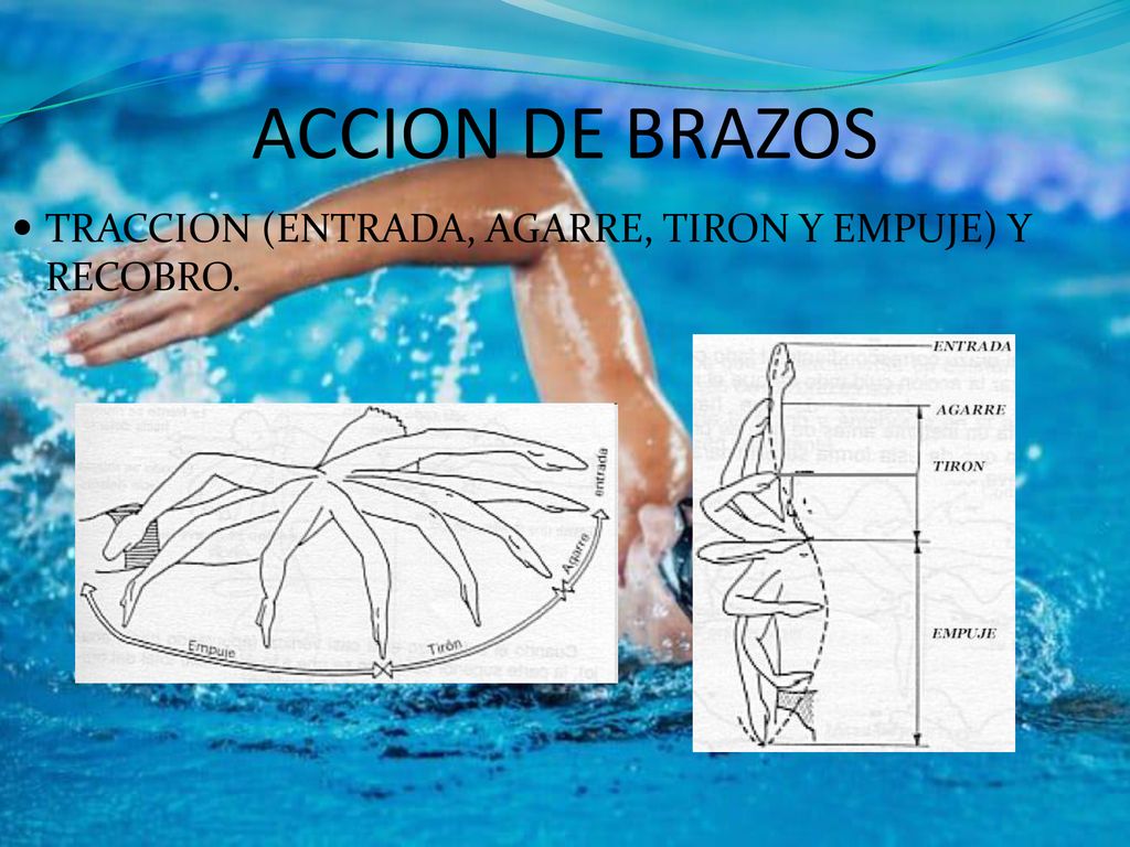 ACCION DE BRAZOS TRACCION (ENTRADA, AGARRE, TIRON Y EMPUJE) Y RECOBRO.