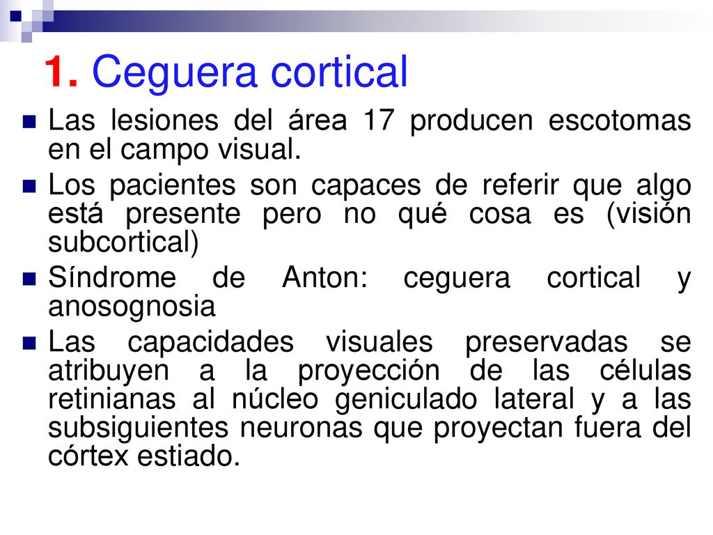 1. Ceguera cortical Las lesiones del área 17 producen escotomas en el campo visual.
