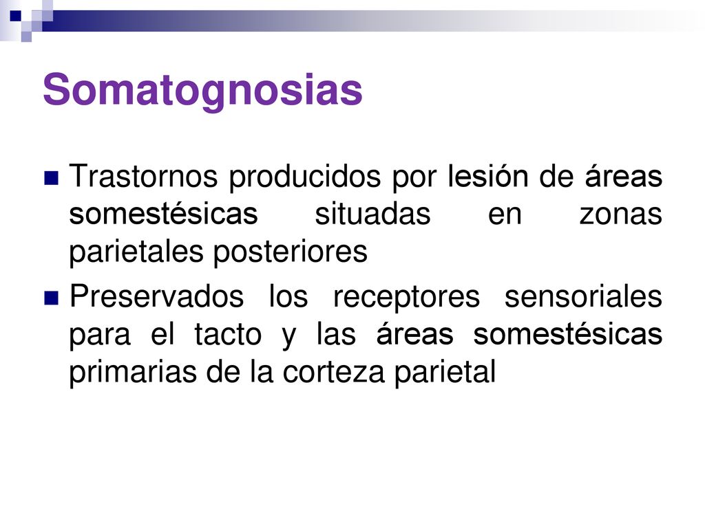 Somatognosias Trastornos producidos por lesión de áreas somestésicas situadas en zonas parietales posteriores.