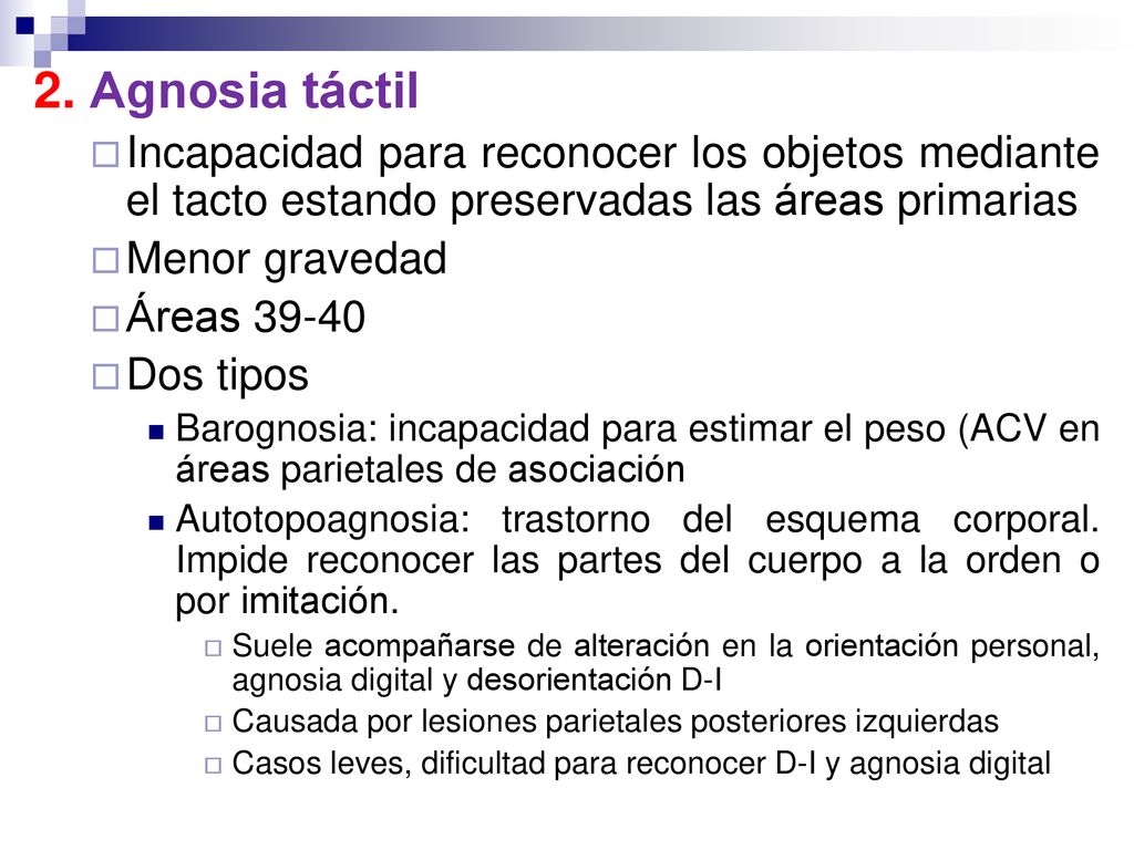 2. Agnosia táctil Incapacidad para reconocer los objetos mediante el tacto estando preservadas las áreas primarias.
