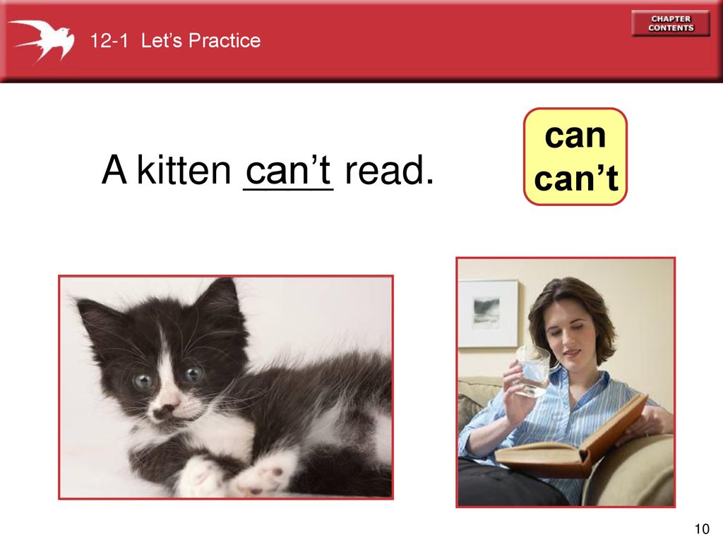 12-1 Let’s Practice can can’t A kitten ____ read. can’t