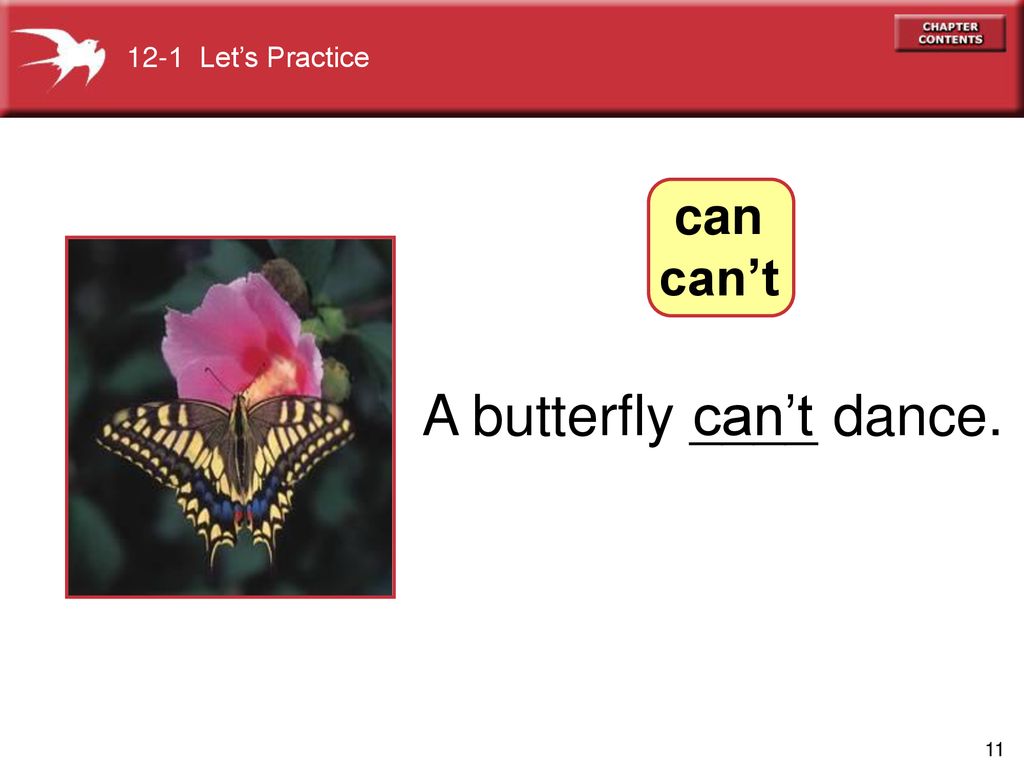 12-1 Let’s Practice can can’t A butterfly ____ dance. can’t