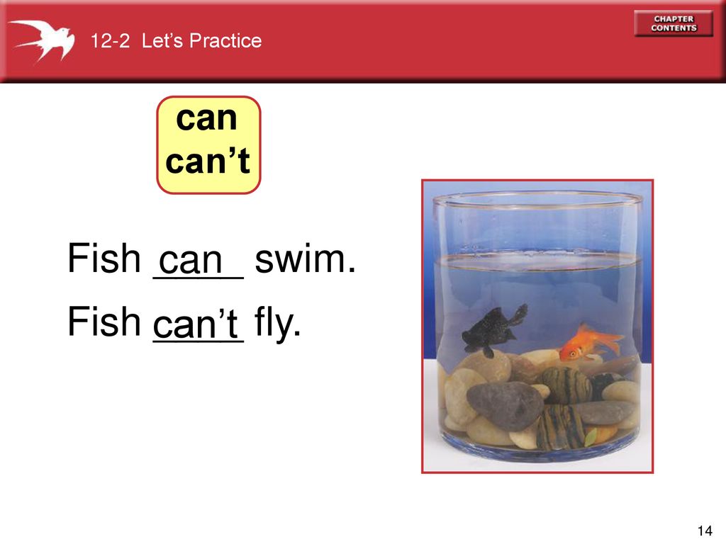 12-2 Let’s Practice can can’t Fish ____ swim. can Fish ____ fly. can’t