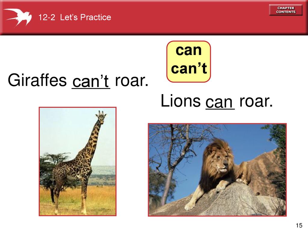 Giraffes ____ roar. can’t Lions ___ roar. can can can’t