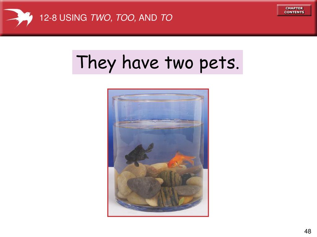 12-8 USING TWO, TOO, AND TO They have two pets.