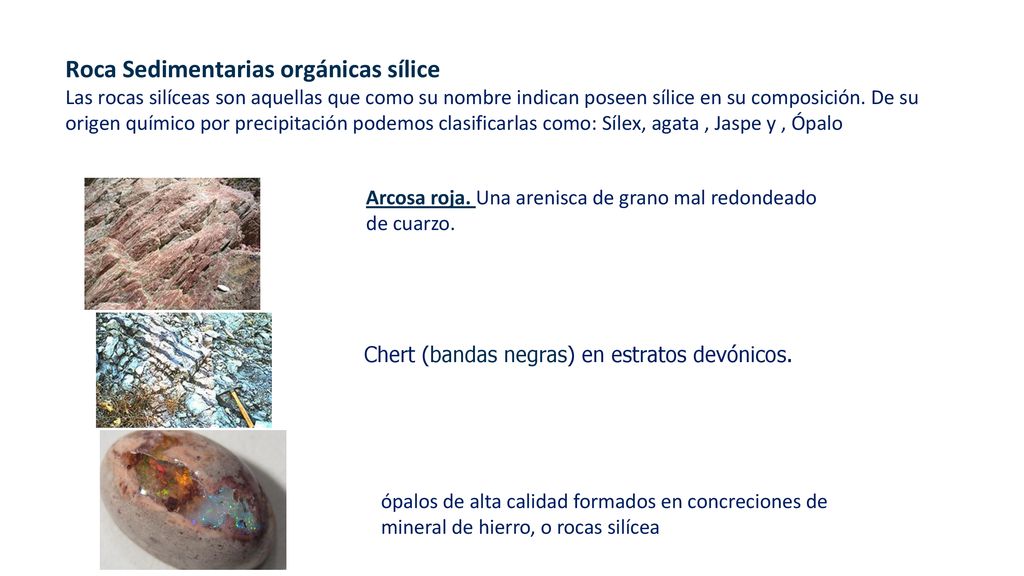 Roca Sedimentarias orgánicas sílice Las rocas silíceas son aquellas que como su nombre indican poseen sílice en su composición. De su origen químico por precipitación podemos clasificarlas como: Sílex, agata , Jaspe y , Ópalo