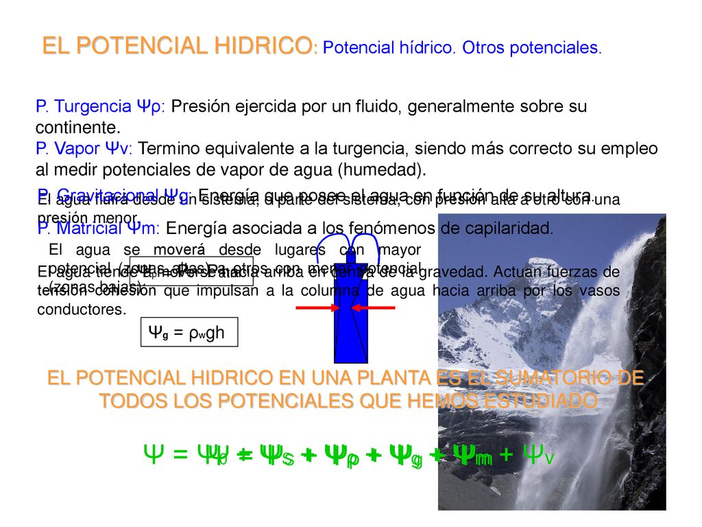 Ψ = Ψ0 + ΨS + Ψρ + Ψg + Ψm + Ψv Ψ = ΨS + Ψρ + Ψg + Ψm