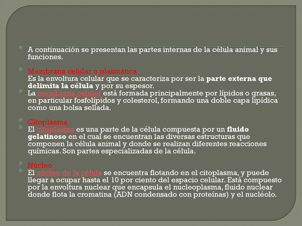 A continuación se presentan las partes internas de la célula animal y sus funciones.