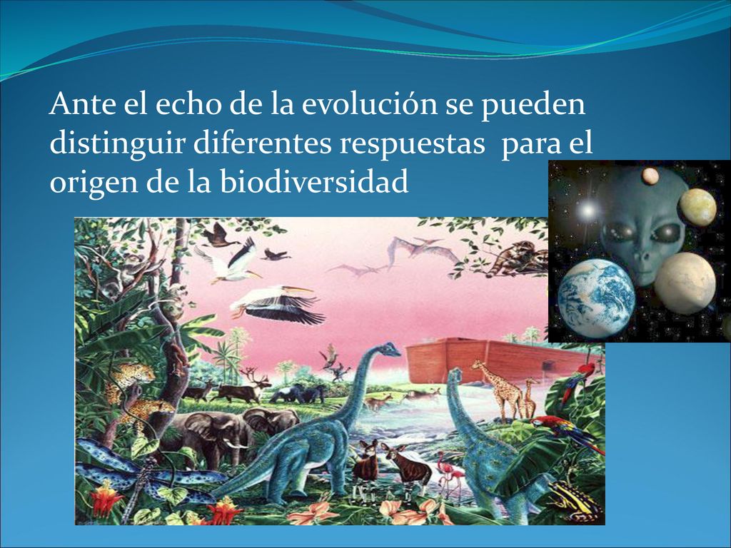 Ante el echo de la evolución se pueden distinguir diferentes respuestas para el origen de la biodiversidad