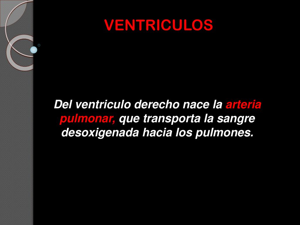 VENTRICULOS Del ventriculo derecho nace la arteria pulmonar, que transporta la sangre desoxigenada hacia los pulmones.
