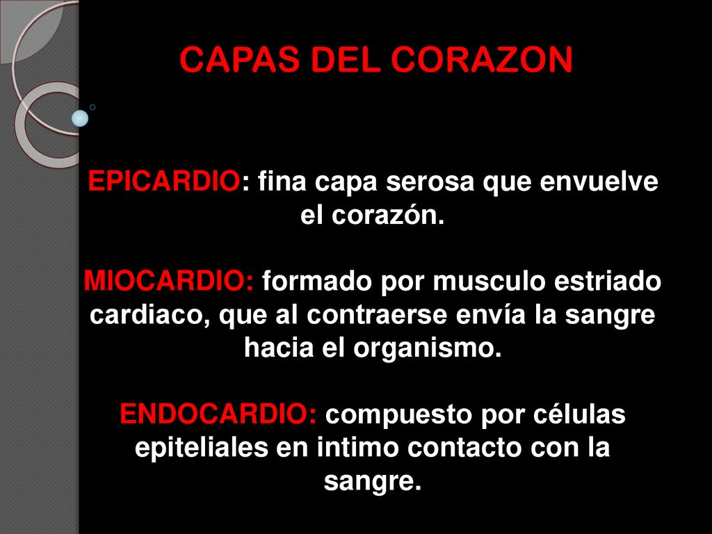 EPICARDIO: fina capa serosa que envuelve el corazón.