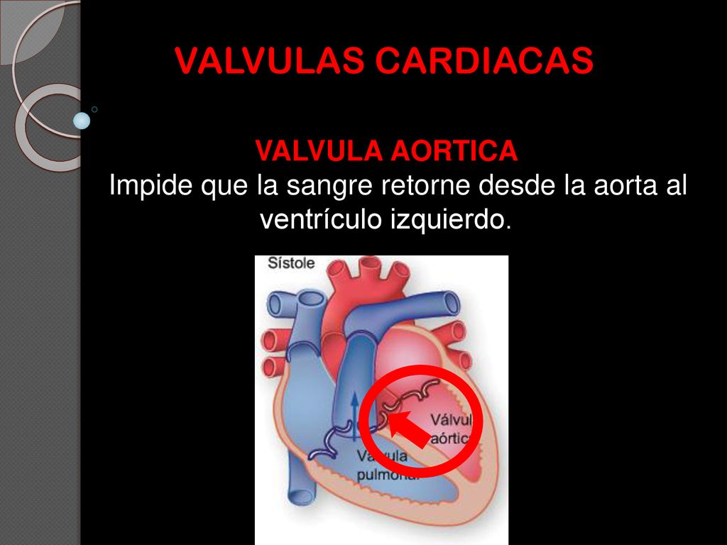 Impide que la sangre retorne desde la aorta al ventrículo izquierdo.