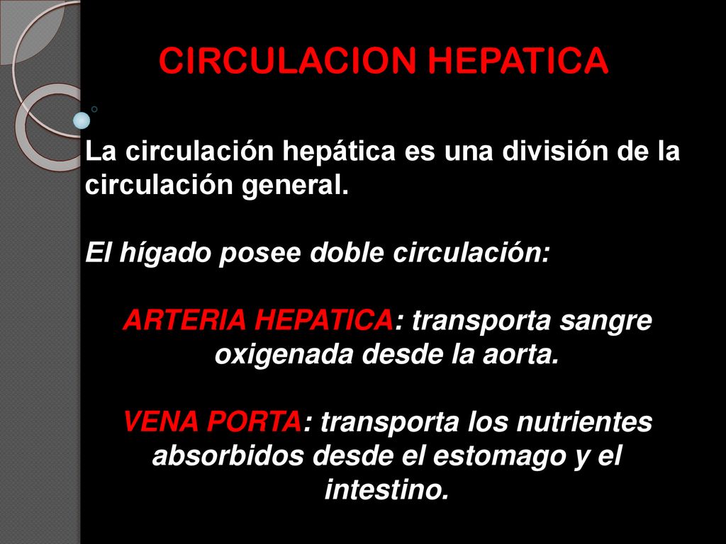 ARTERIA HEPATICA: transporta sangre oxigenada desde la aorta.