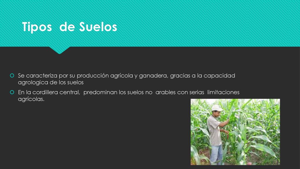 Tipos de Suelos Se caracteriza por su producción agrícola y ganadera, gracias a la capacidad agrologica de los suelos.