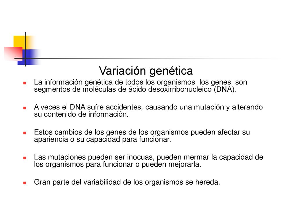 Variación genética La información genética de todos los organismos, los genes, son segmentos de moléculas de ácido desoxirribonucleico (DNA).