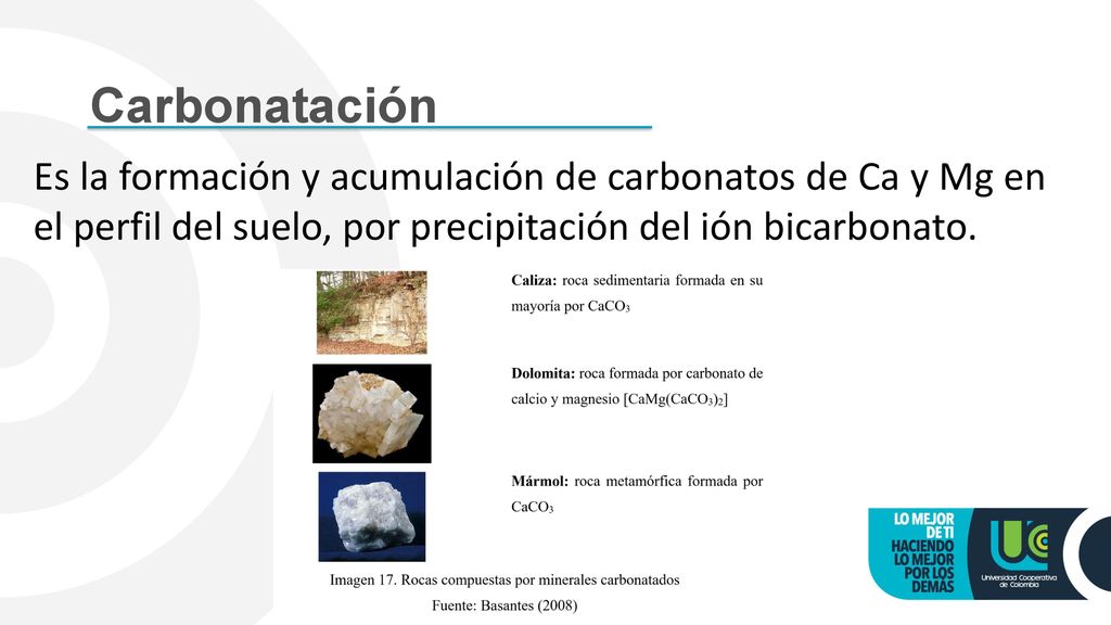 Carbonatación Es la formación y acumulación de carbonatos de Ca y Mg en el perfil del suelo, por precipitación del ión bicarbonato.