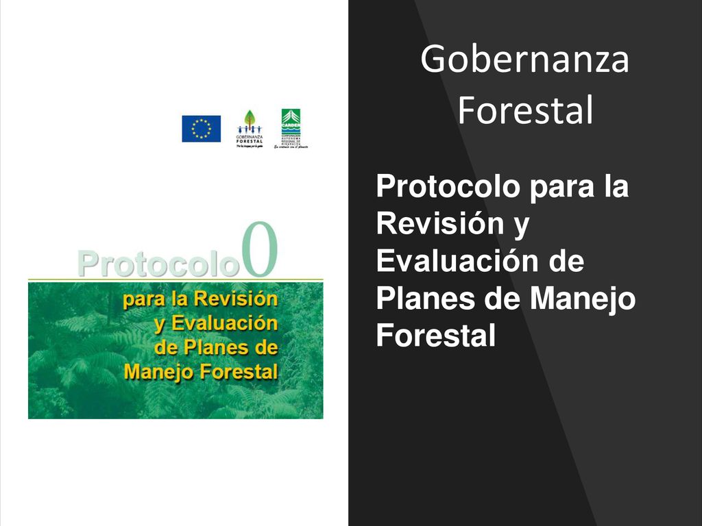 Gobernanza Forestal Protocolo para la Revisión y Evaluación de Planes de Manejo Forestal