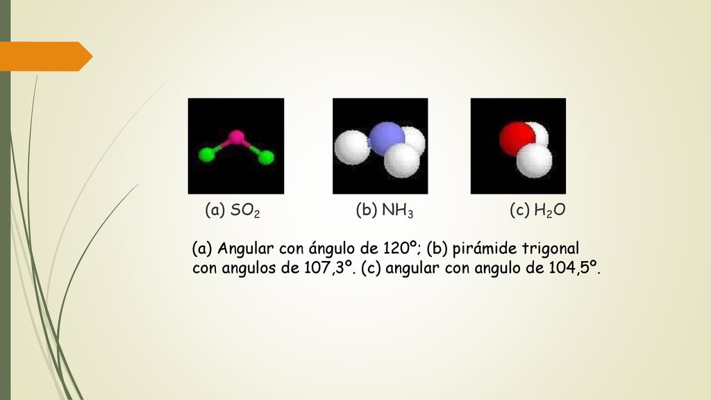 (a) SO2 (b) NH3 (c) H2O (a) Angular con ángulo de 120º; (b) pirámide trigonal con angulos de 107,3º.