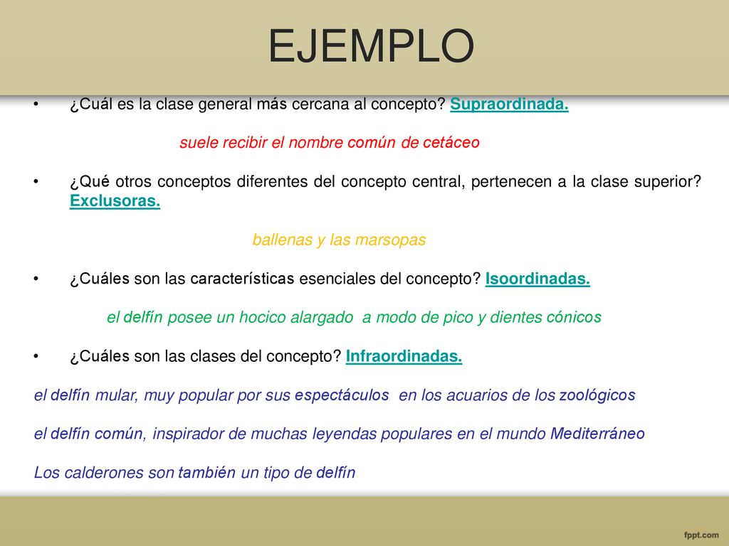 EJEMPLO ¿Cuál es la clase general más cercana al concepto Supraordinada. suele recibir el nombre común de cetáceo.