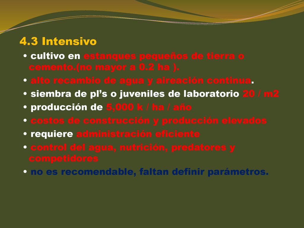 4.3 Intensivo • cultivo en estanques pequeños de tierra o cemento.(no mayor a 0.2 ha ). • alto recambio de agua y aireación continua.