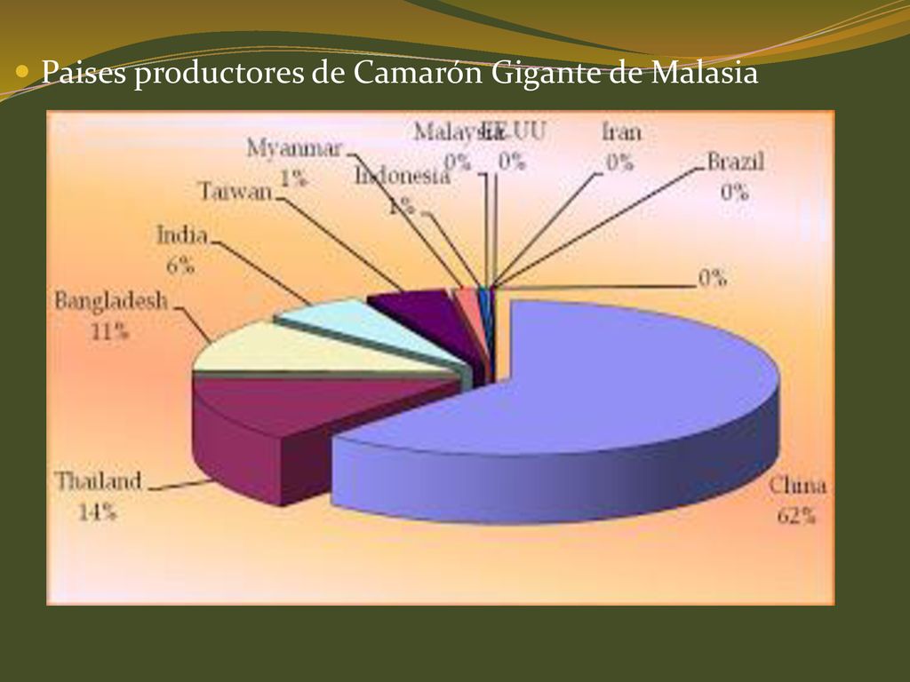 Paises productores de Camarón Gigante de Malasia