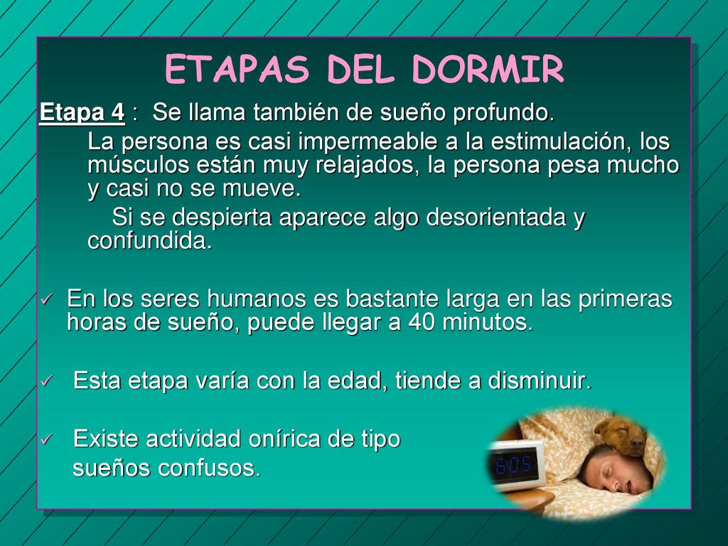 ETAPAS DEL DORMIR Etapa 4 : Se llama también de sueño profundo.