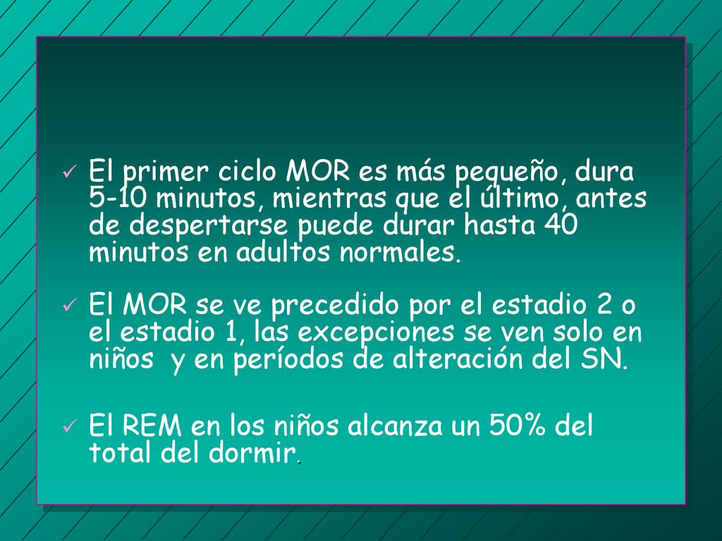 El primer ciclo MOR es más pequeño, dura 5-10 minutos, mientras que el último, antes de despertarse puede durar hasta 40 minutos en adultos normales.