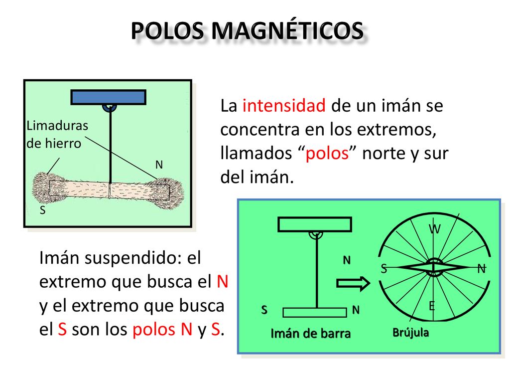 Polos magnéticos S. N. Limaduras de hierro. La intensidad de un imán se concentra en los extremos, llamados polos norte y sur del imán.