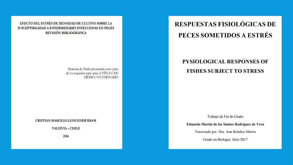 COMO FECTA EL ESTRÉS EL ESTRÉS DE POBLACIONES. ENFERMEDADES CAUSADAS POR EL ESTRÉS DE POBLACIONES.