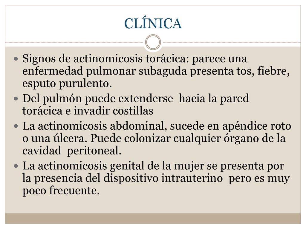 CLÍNICA Signos de actinomicosis torácica: parece una enfermedad pulmonar subaguda presenta tos, fiebre, esputo purulento.