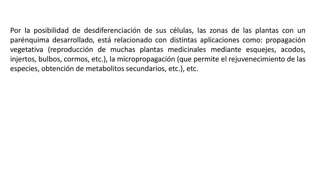Por la posibilidad de desdiferenciación de sus células, las zonas de las plantas con un parénquima desarrollado, está relacionado con distintas aplicaciones como: propagación vegetativa (reproducción de muchas plantas medicinales mediante esquejes, acodos, injertos, bulbos, cormos, etc.), la micropropagación (que permite el rejuvenecimiento de las especies, obtención de metabolitos secundarios, etc.), etc.