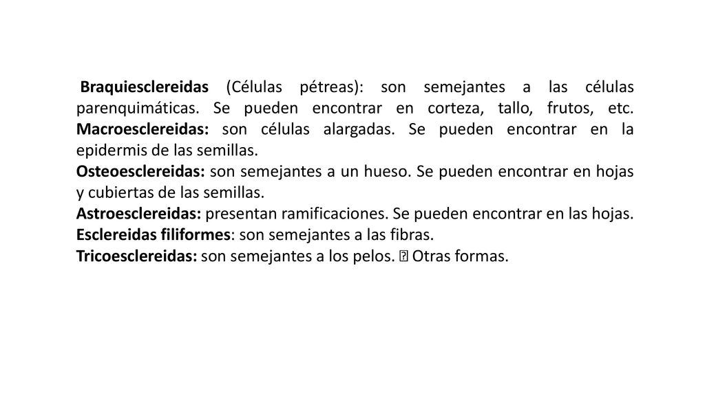 Braquiesclereidas (Células pétreas): son semejantes a las células parenquimáticas. Se pueden encontrar en corteza, tallo, frutos, etc. Macroesclereidas: son células alargadas. Se pueden encontrar en la epidermis de las semillas.