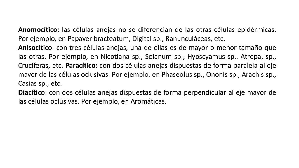 Anomocítico: las células anejas no se diferencian de las otras células epidérmicas. Por ejemplo, en Papaver bracteatum, Digital sp., Ranunculáceas, etc.