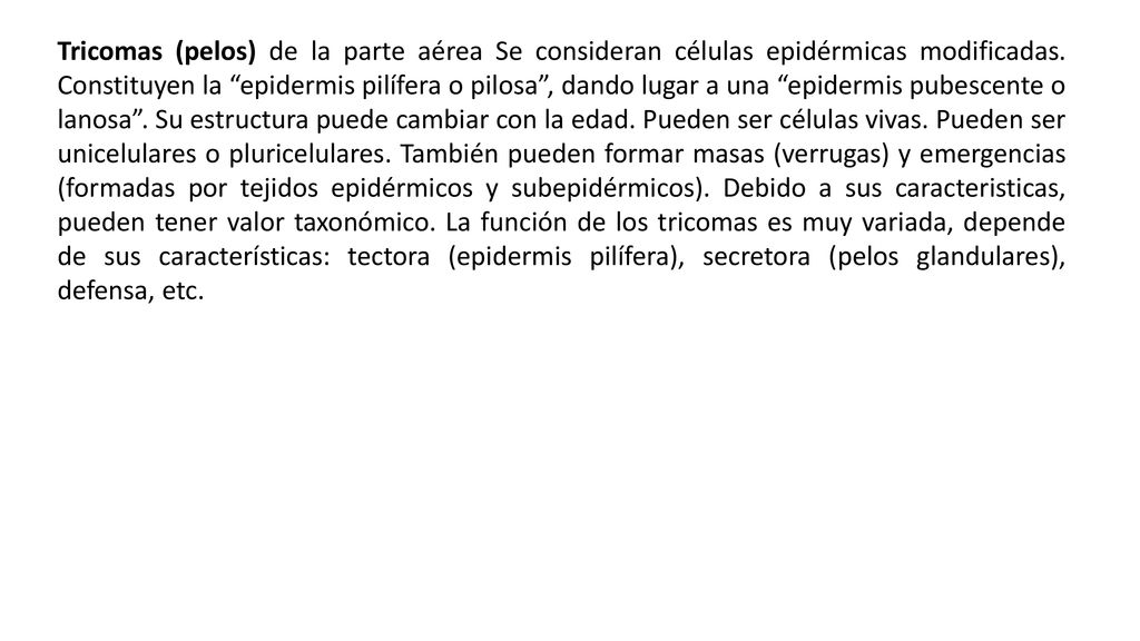 Tricomas (pelos) de la parte aérea Se consideran células epidérmicas modificadas.