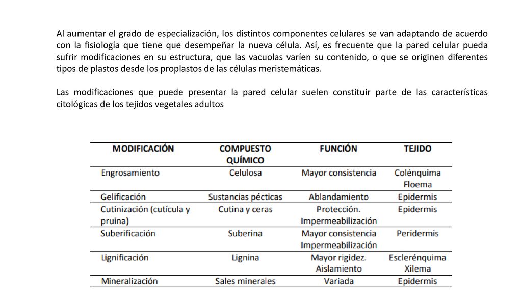 Al aumentar el grado de especialización, los distintos componentes celulares se van adaptando de acuerdo con la fisiología que tiene que desempeñar la nueva célula. Así, es frecuente que la pared celular pueda sufrir modificaciones en su estructura, que las vacuolas varíen su contenido, o que se originen diferentes tipos de plastos desde los proplastos de las células meristemáticas.