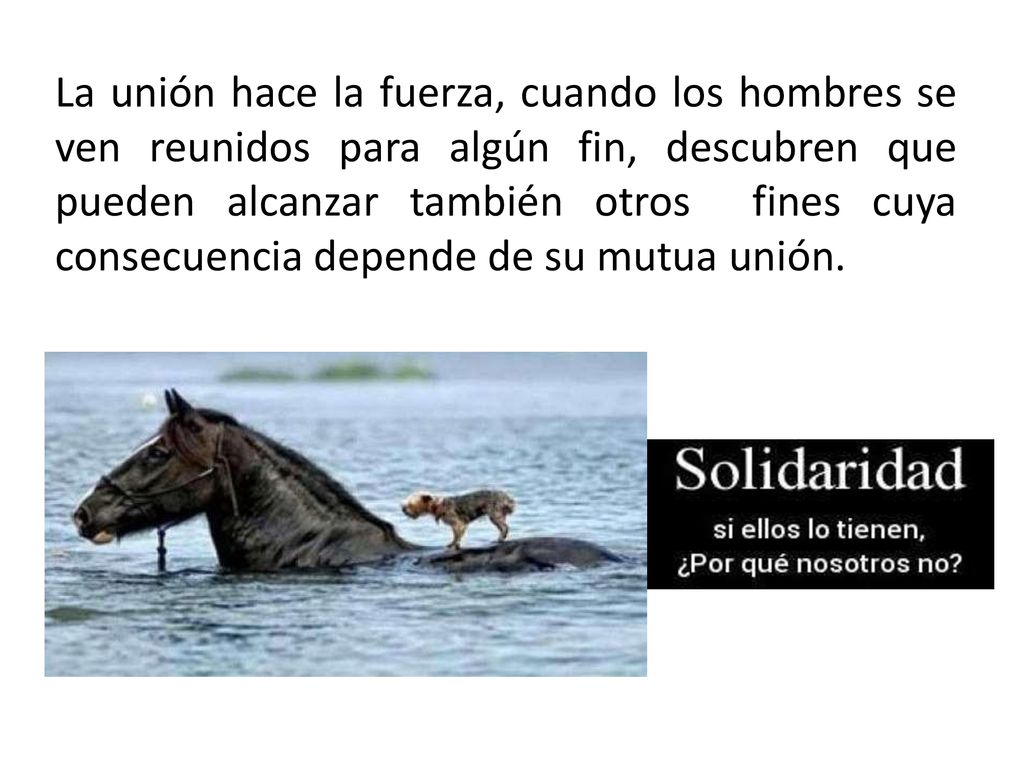 La unión hace la fuerza, cuando los hombres se ven reunidos para algún fin, descubren que pueden alcanzar también otros fines cuya consecuencia depende de su mutua unión.