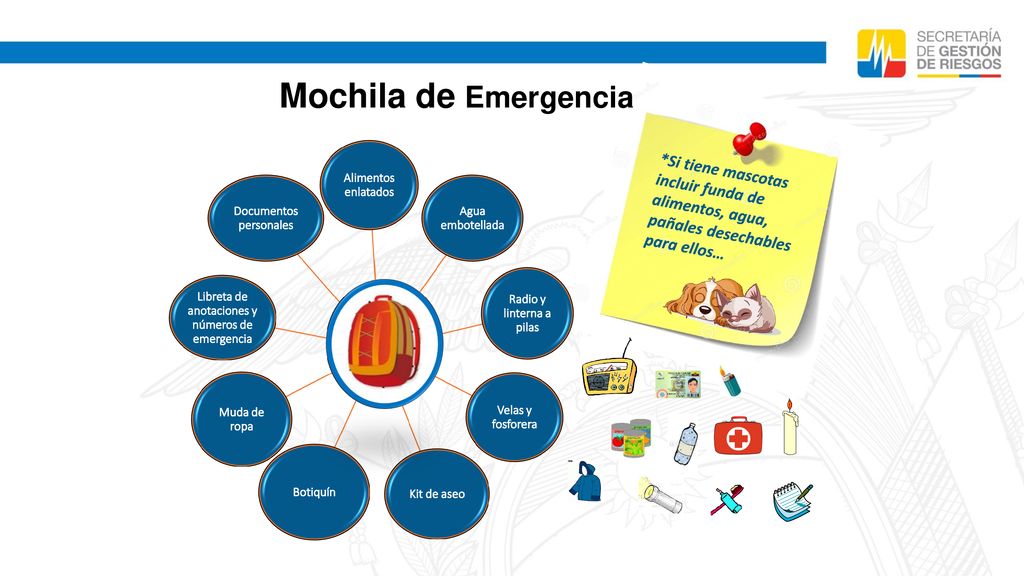 Mochila de Emergencia Alimentos enlatados. Agua embotellada. Radio y linterna a pilas. Velas y fosforera.