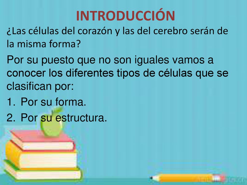 INTRODUCCIÓN ¿Las células del corazón y las del cerebro serán de la misma forma