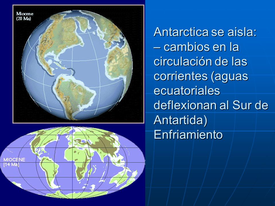 Antarctica se aisla: – cambios en la circulación de las corrientes (aguas ecuatoriales deflexionan al Sur de Antartida) Enfriamiento