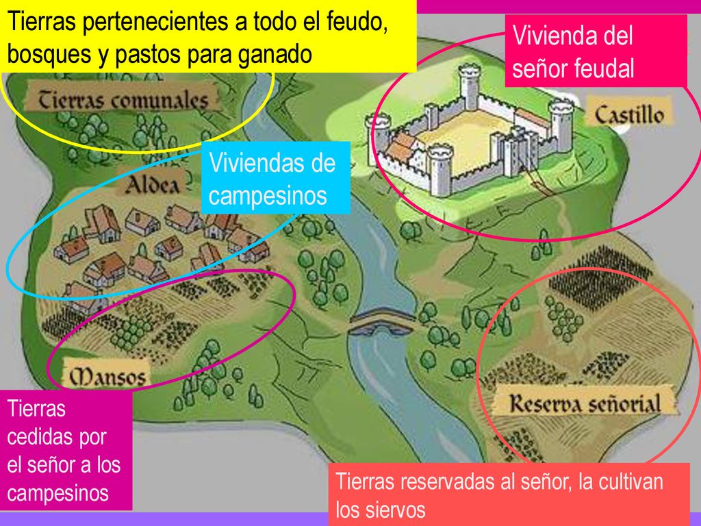 Tierras pertenecientes a todo el feudo, bosques y pastos para ganado