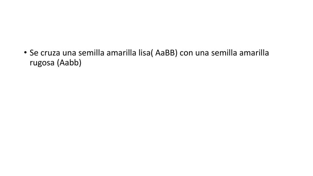 Se cruza una semilla amarilla lisa( AaBB) con una semilla amarilla rugosa (Aabb)