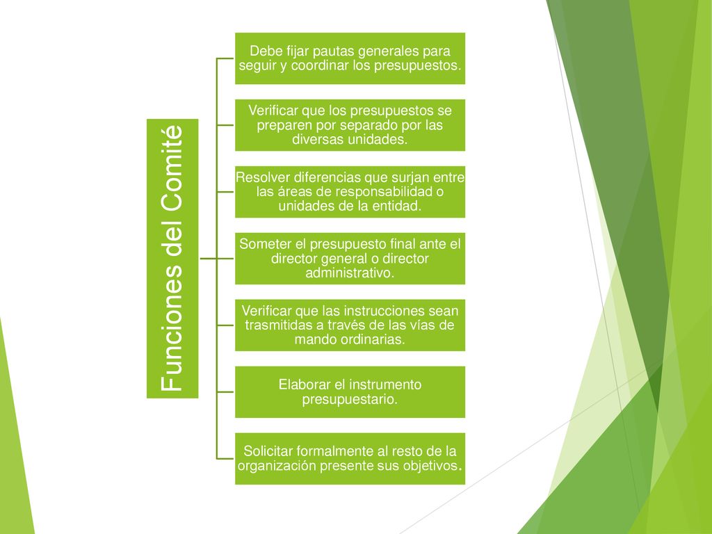 Funciones del Comité Debe fijar pautas generales para seguir y coordinar los presupuestos.