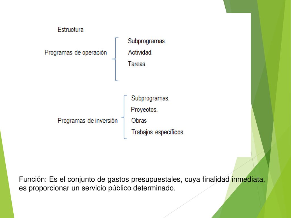 Función: Es el conjunto de gastos presupuestales, cuya finalidad inmediata, es proporcionar un servicio público determinado.