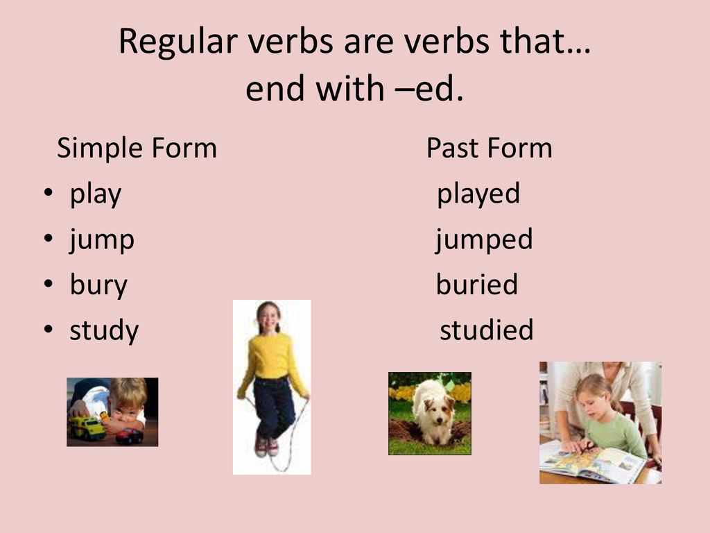 Verb regular 20 Examples